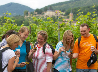Gruppe von Menschen im Weinberg, alle schauen auf ihre Smartphones, umgeben von Reben und Natur.