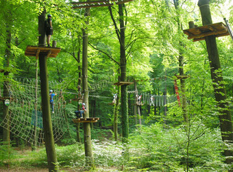 Kletterpark im Wald mit Plattformen und Seilbrücken zwischen Bäumen, mehrere Personen beim Klettern im grünen Laub.