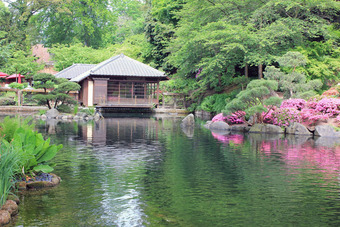 Japanischer Garten Kaiserslautern mit Pavillon am Teich, umgeben von Bäumen, Sträuchern, Felsen und pinken Blüten.
